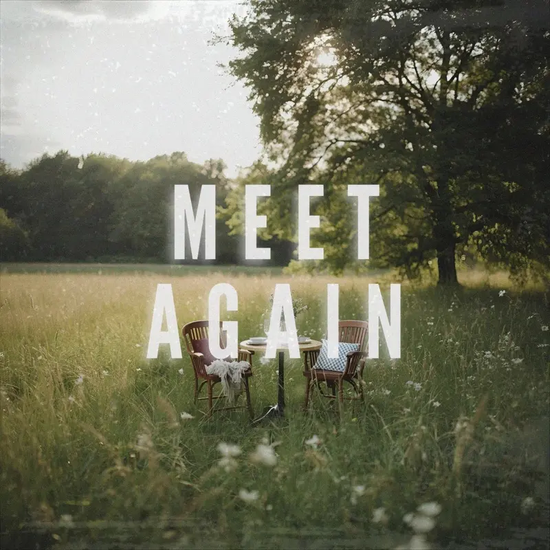 Meet Again single artwork